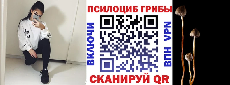 Псилоцибиновые грибы мицелий  Абинск 